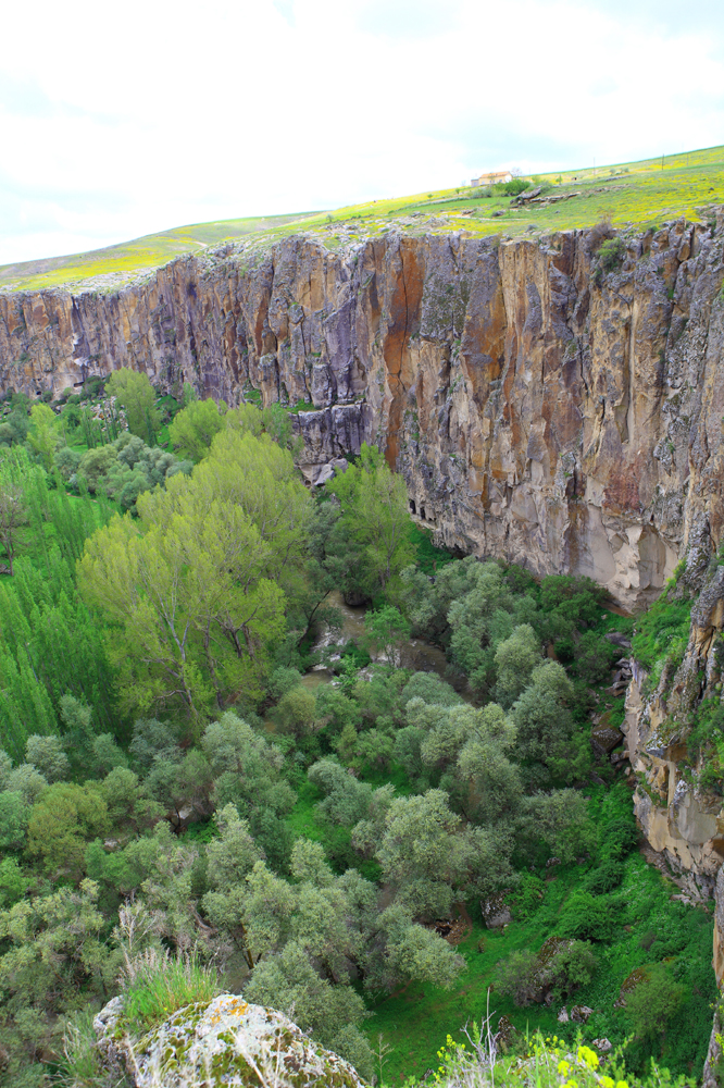건강관리지도,광진구,성동,송파,강동,구의동,건강요법,의료기기,저주파자극기,건강유지