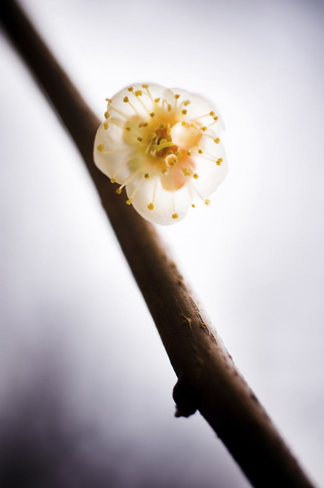 1970209470_GZoS7JUH_63097ff76a1c6cb85878a89ea1619e0406ebb15e.jpg 이미지크게보기