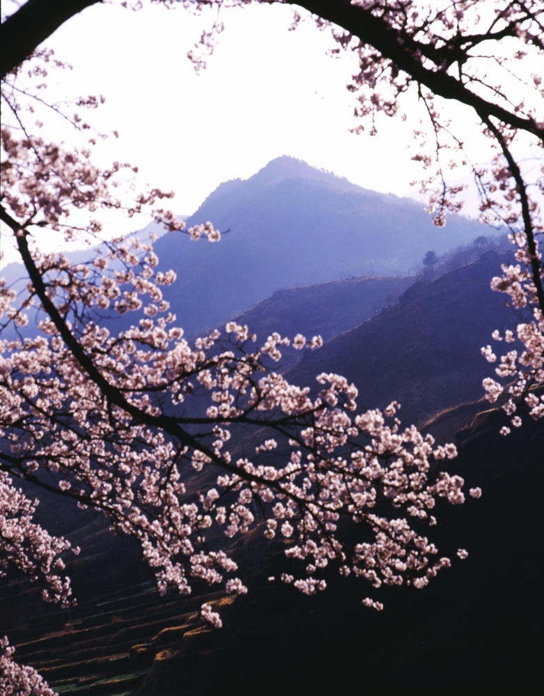건강관리지도,광진구,성동,송파,강동,구의동,건강요법,의료기기,저주파자극기,건강유지