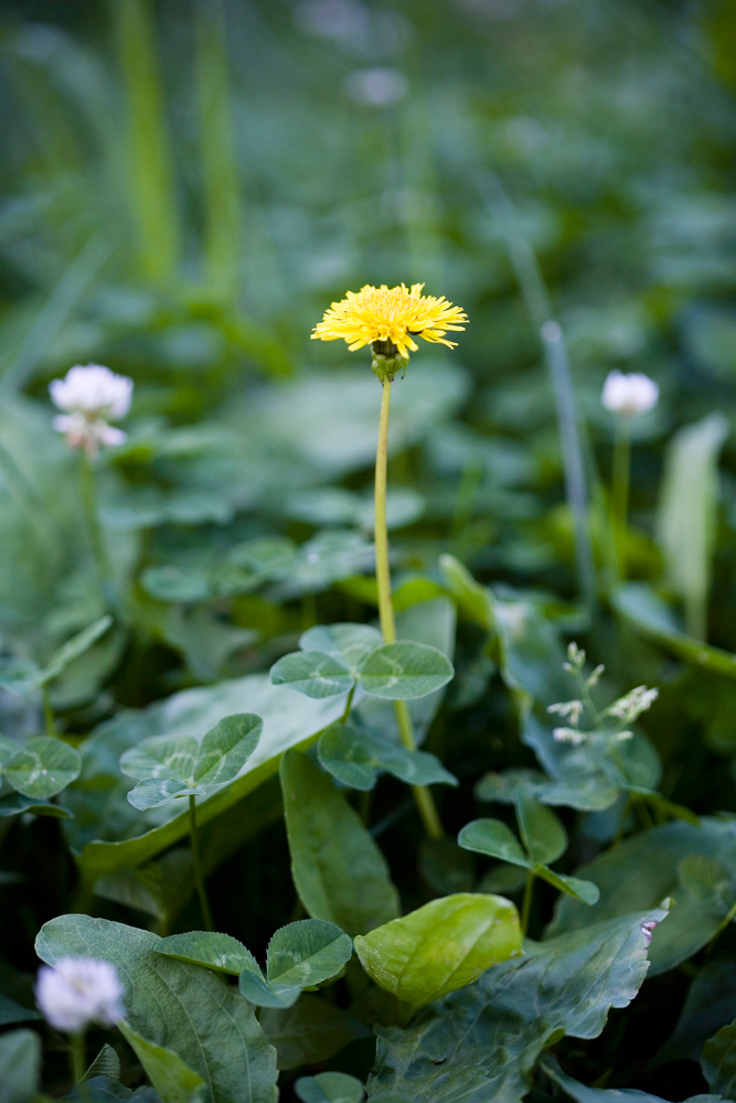 건강관리지도,광진구,성동,송파,강동,구의동,건강요법,의료기기,저주파자극기,건강유지