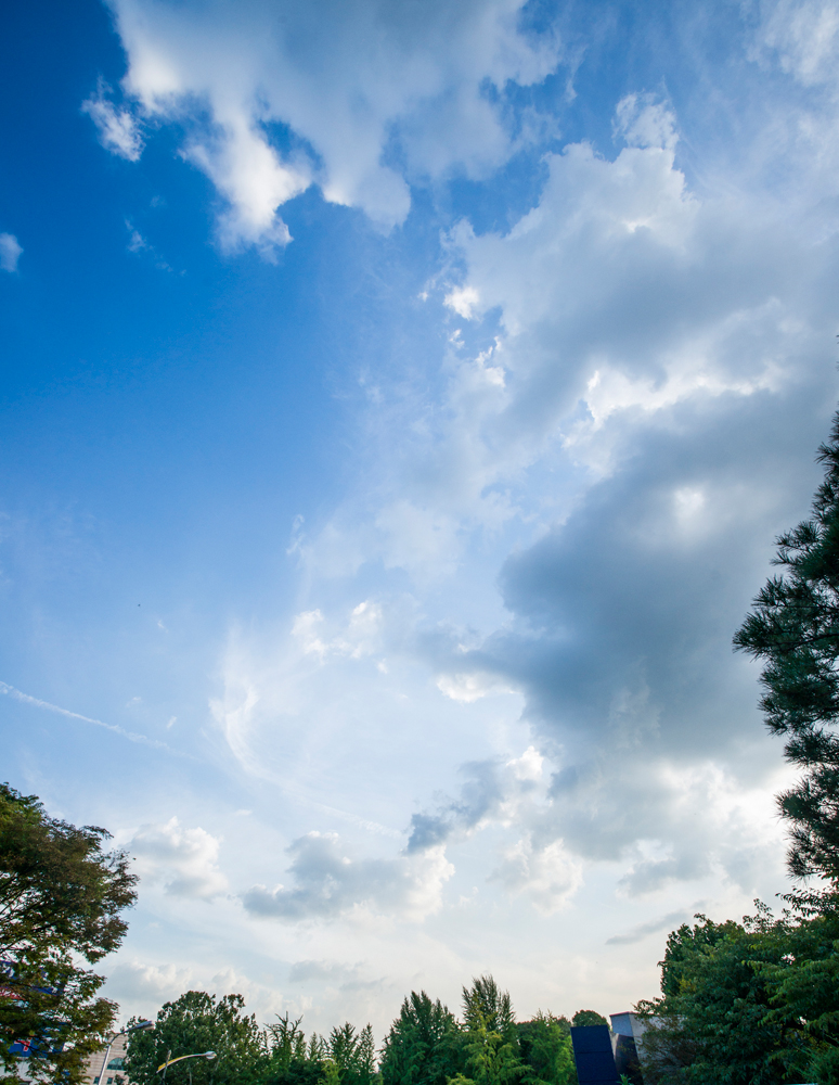 건강관리지도,광진구,성동,송파,강동,구의동,건강요법,의료기기,저주파자극기,건강유지