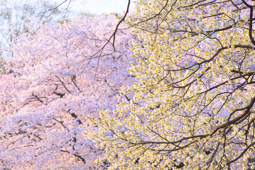 건강관리지도,광진구,성동,송파,강동,구의동,건강요법,의료기기,저주파자극기,건강유지