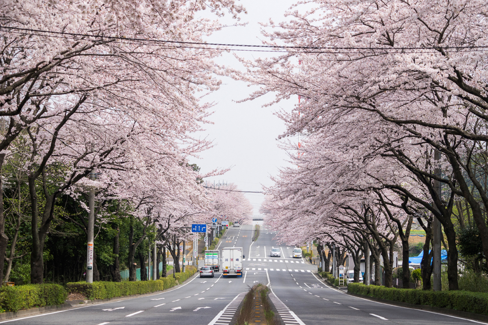 건강관리지도,광진구,성동,송파,강동,구의동,건강요법,의료기기,저주파자극기,건강유지