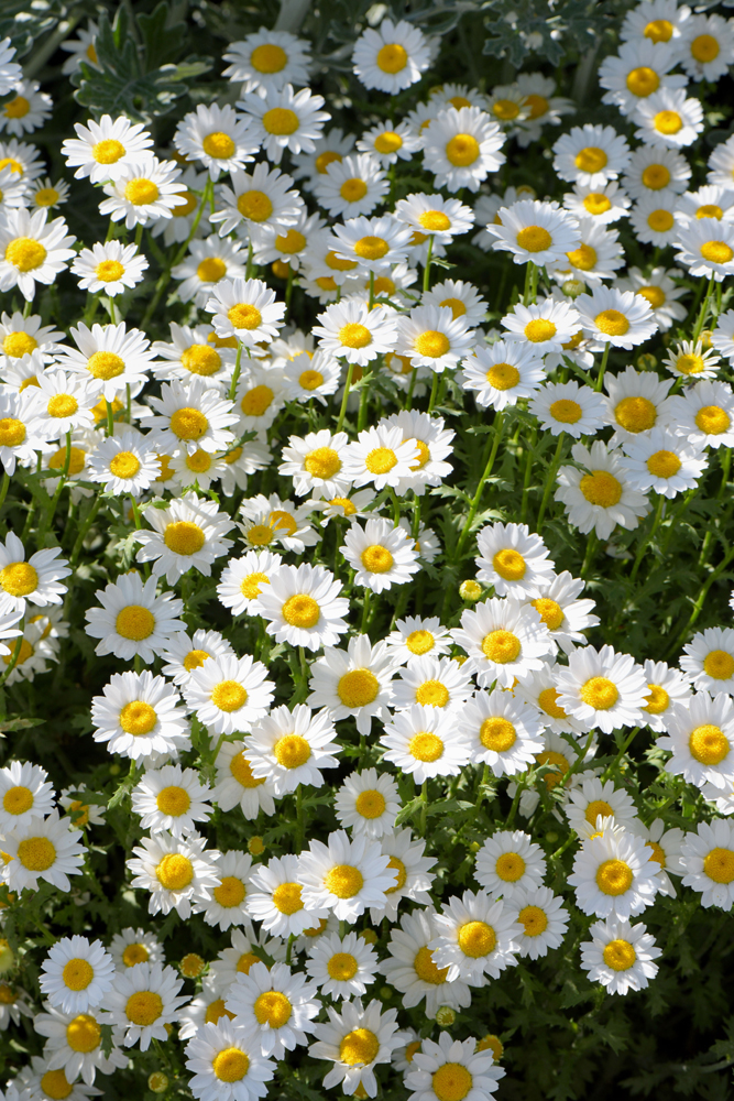 건강관리지도,광진구,성동,송파,강동,구의동,건강요법,의료기기,저주파자극기,건강유지