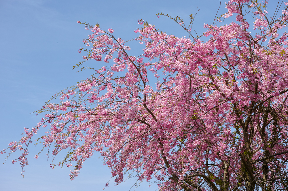 건강관리지도,광진구,성동,송파,강동,구의동,건강요법,의료기기,저주파자극기,건강유지