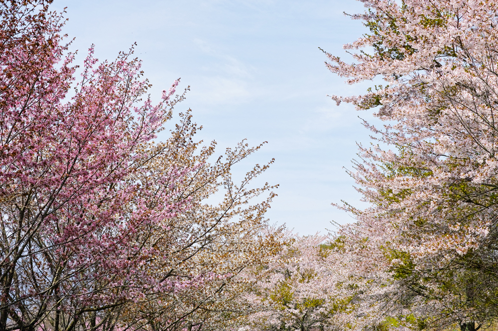 건강관리지도,광진구,성동,송파,강동,구의동,건강요법,의료기기,저주파자극기,건강유지