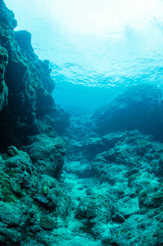 건강관리지도,광진구,성동,송파,강동,구의동,건강요법,의료기기,저주파자극기,건강유지