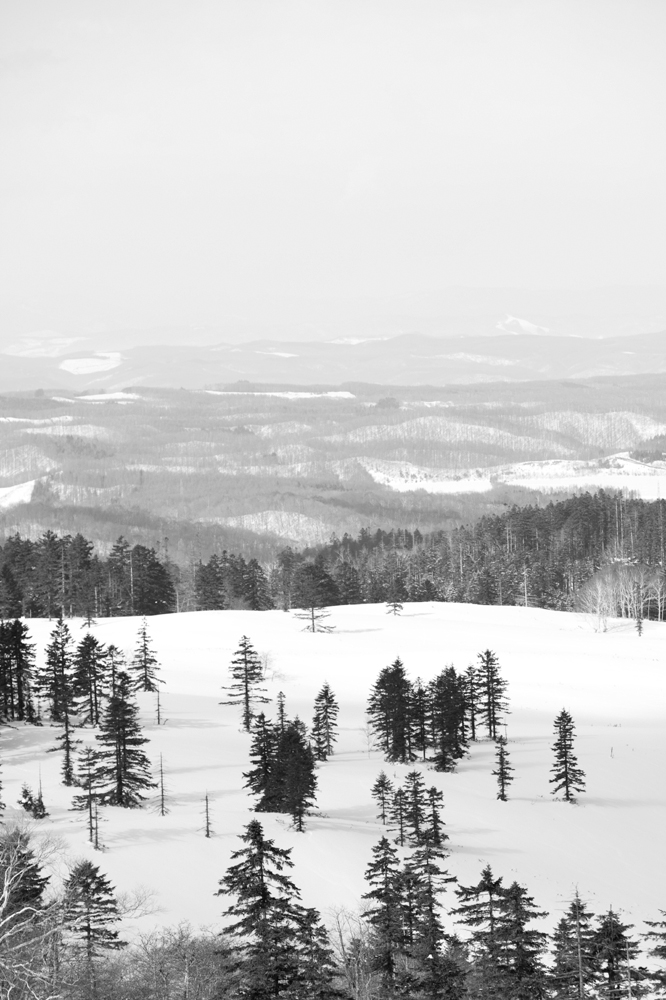 건강관리지도,광진구,성동,송파,강동,구의동,건강요법,의료기기,저주파자극기,건강유지