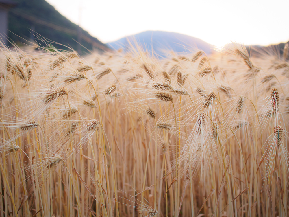 건강관리지도,광진구,성동,송파,강동,구의동,건강요법,의료기기,저주파자극기,건강유지