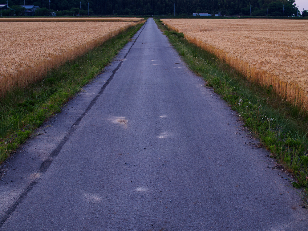 건강관리지도,광진구,성동,송파,강동,구의동,건강요법,의료기기,저주파자극기,건강유지