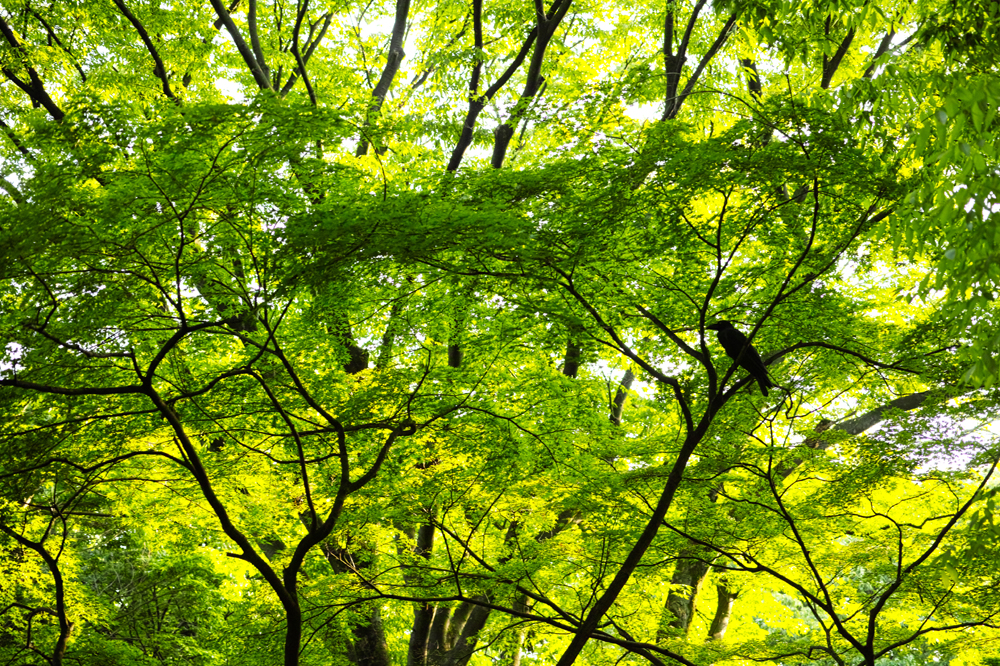 건강관리지도,광진구,성동,송파,강동,구의동,건강요법,의료기기,저주파자극기,건강유지