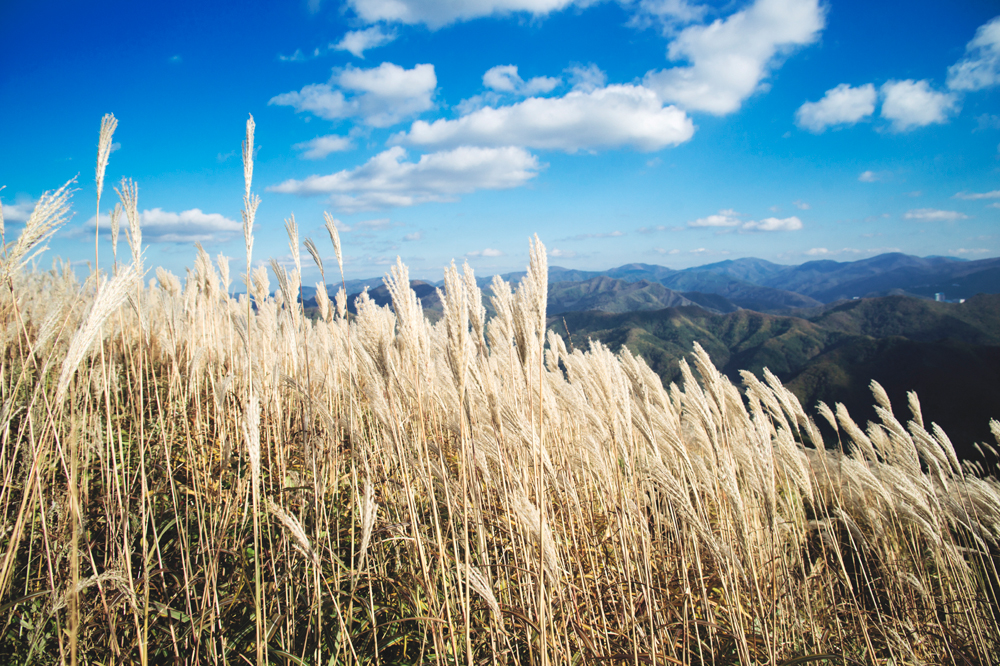 건강관리지도,광진구,성동,송파,강동,구의동,건강요법,의료기기,저주파자극기,건강유지