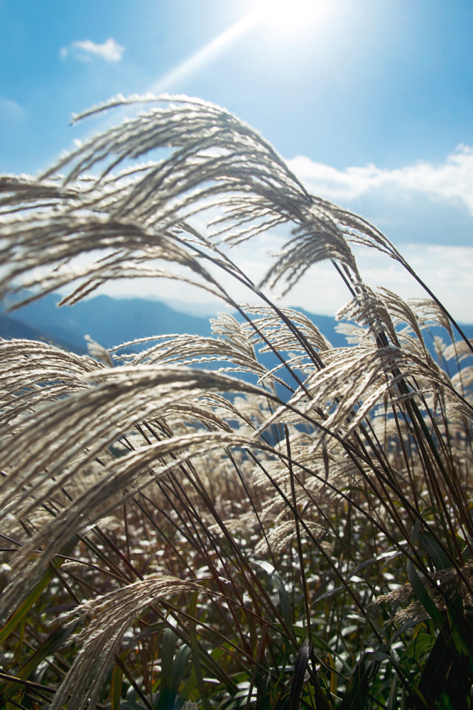 건강관리지도,광진구,성동,송파,강동,구의동,건강요법,의료기기,저주파자극기,건강유지