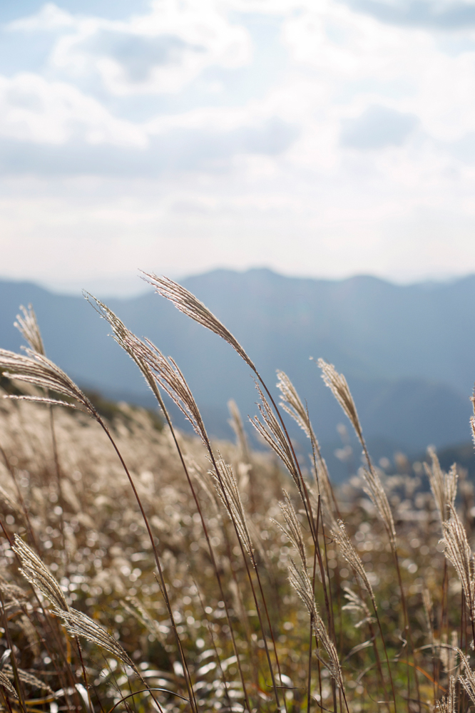 건강관리지도,광진구,성동,송파,강동,구의동,건강요법,의료기기,저주파자극기,건강유지