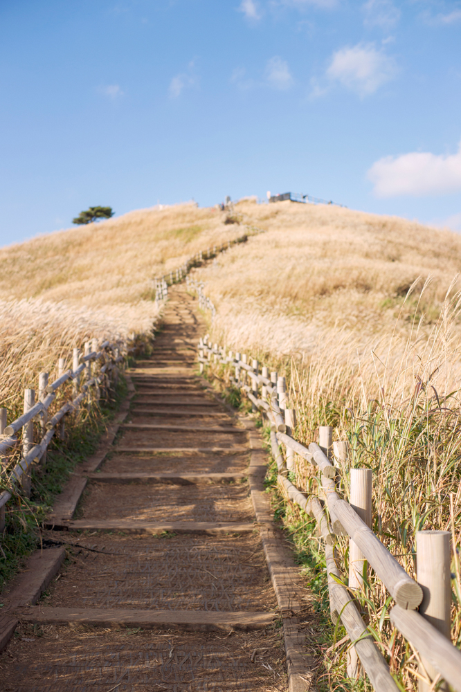 건강관리지도,광진구,성동,송파,강동,구의동,건강요법,의료기기,저주파자극기,건강유지