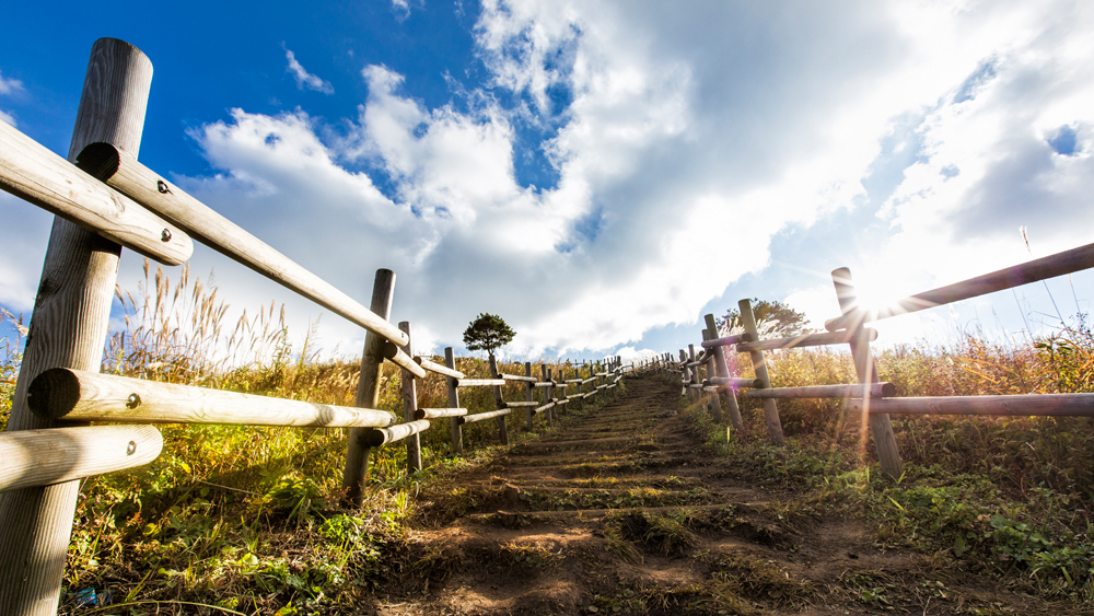 건강관리지도,광진구,성동,송파,강동,구의동,건강요법,의료기기,저주파자극기,건강유지
