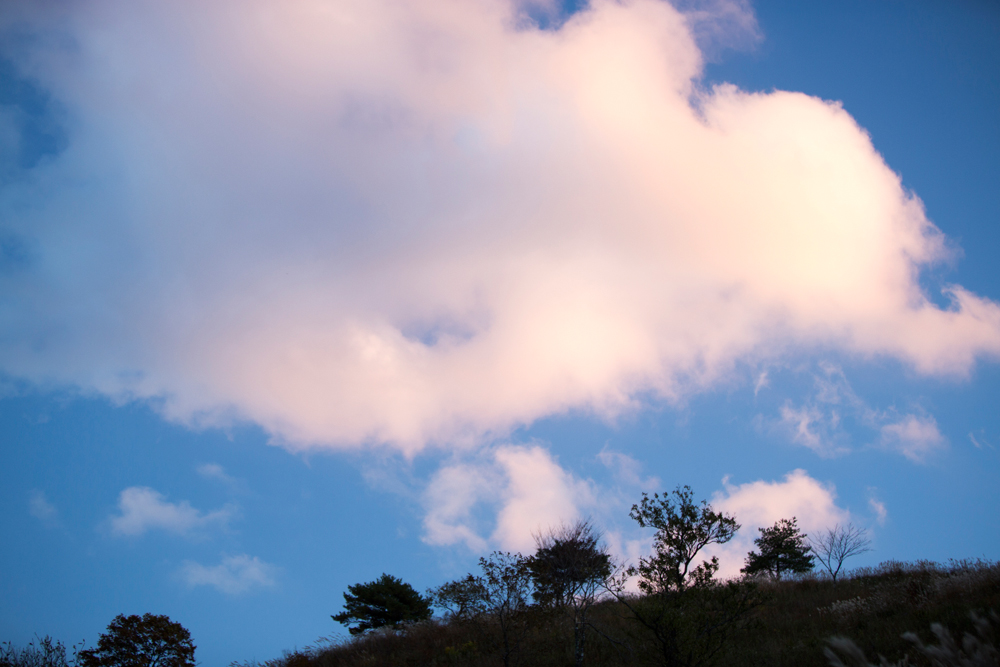 건강관리지도,광진구,성동,송파,강동,구의동,건강요법,의료기기,저주파자극기,건강유지