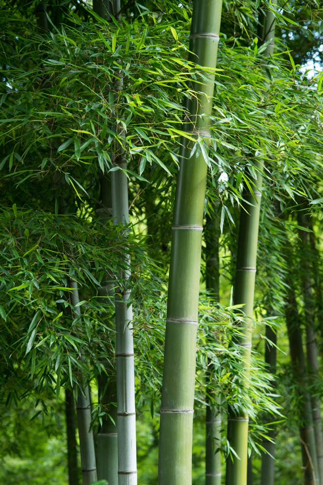건강관리지도,광진구,성동,송파,강동,구의동,건강요법,의료기기,저주파자극기,건강유지