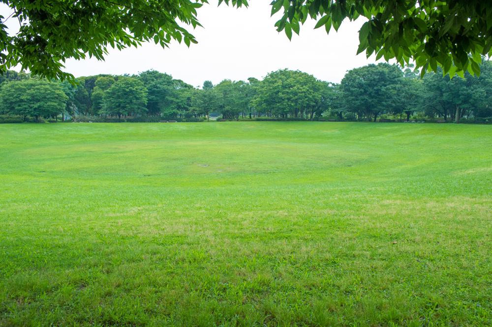 건강관리지도,광진구,성동,송파,강동,구의동,건강요법,의료기기,저주파자극기,건강유지