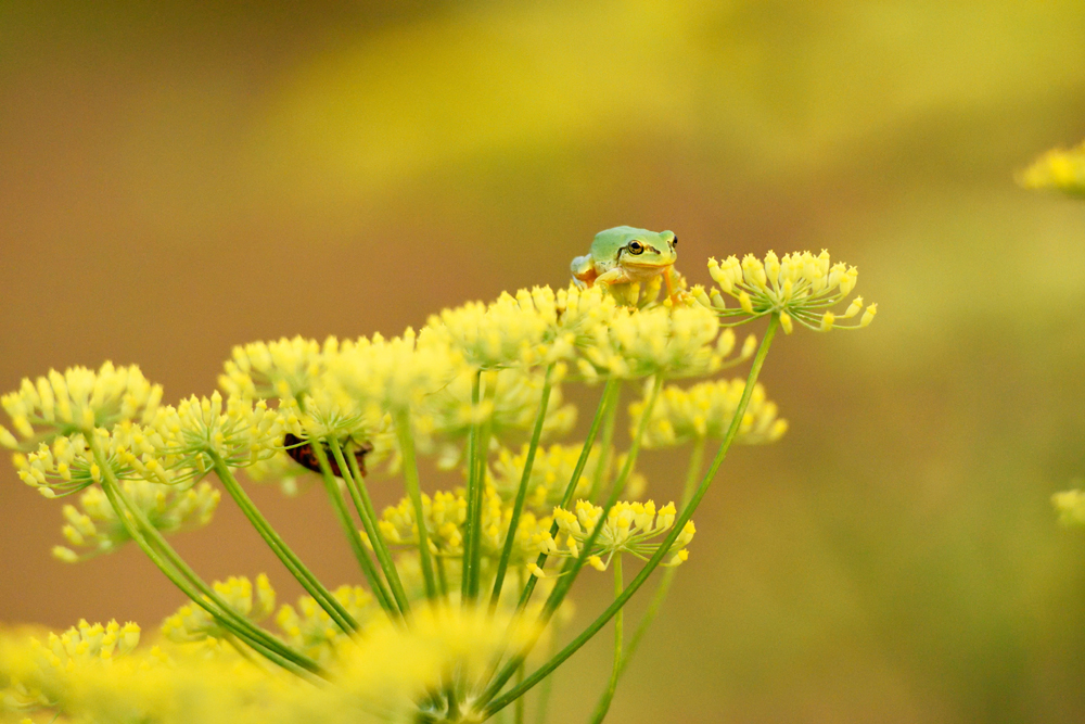 건강관리지도,광진구,성동,송파,강동,구의동,건강요법,의료기기,저주파자극기,건강유지