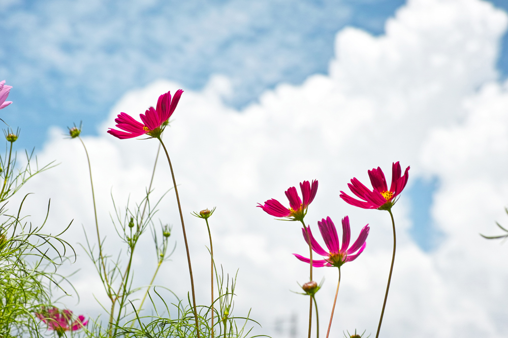 건강관리지도,광진구,성동,송파,강동,구의동,건강요법,의료기기,저주파자극기,건강유지