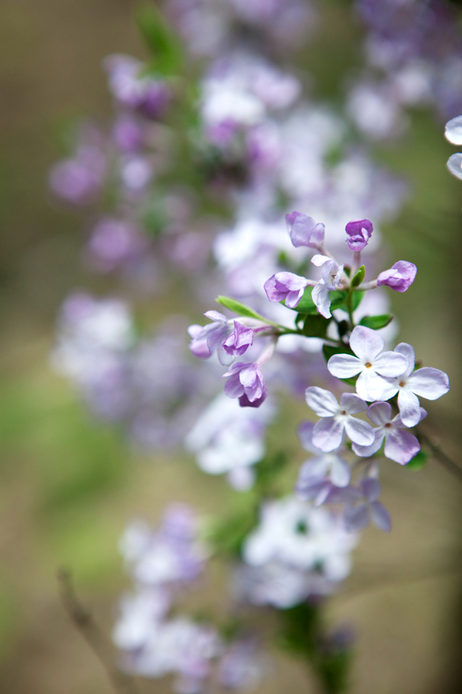 건강관리지도,광진구,성동,송파,강동,구의동,건강요법,의료기기,저주파자극기,건강유지