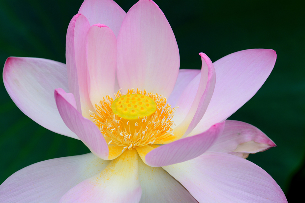 건강관리지도,광진구,성동,송파,강동,구의동,건강요법,의료기기,저주파자극기,건강유지