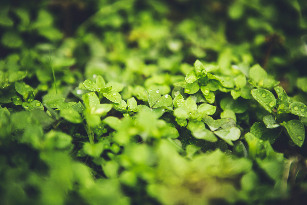 건강관리지도,광진구,성동,송파,강동,구의동,건강요법,의료기기,저주파자극기,건강유지