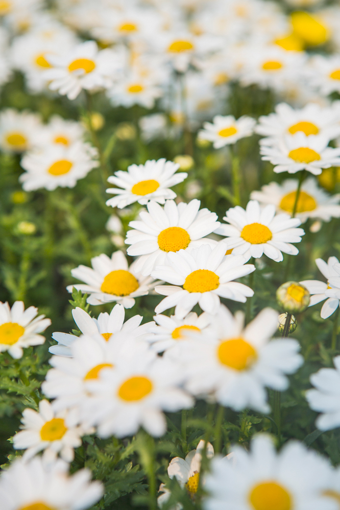 건강관리지도,광진구,성동,송파,강동,구의동,건강요법,의료기기,저주파자극기,건강유지