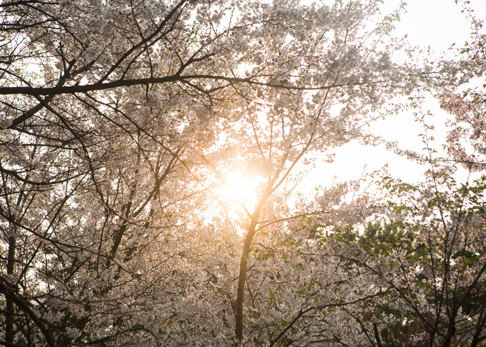 건강관리지도,광진구,성동,송파,강동,구의동,건강요법,의료기기,저주파자극기,건강유지