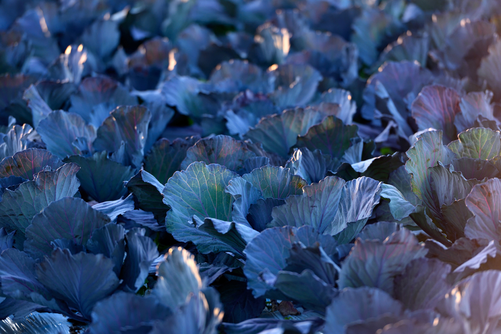 건강관리지도,광진구,성동,송파,강동,구의동,건강요법,의료기기,저주파자극기,건강유지