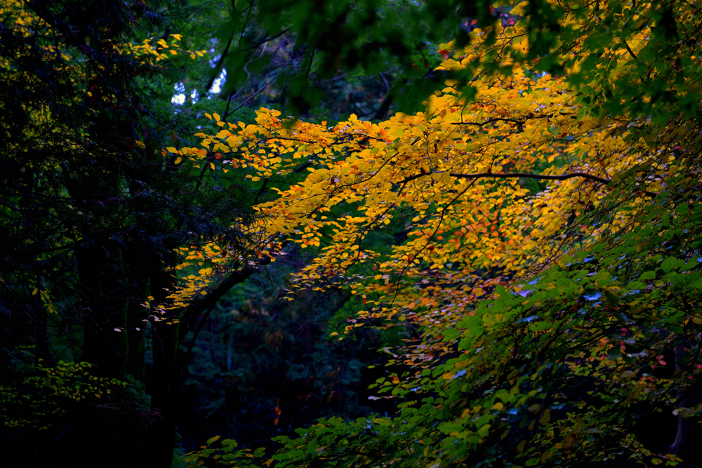 건강관리지도,광진구,성동,송파,강동,구의동,건강요법,의료기기,저주파자극기,건강유지