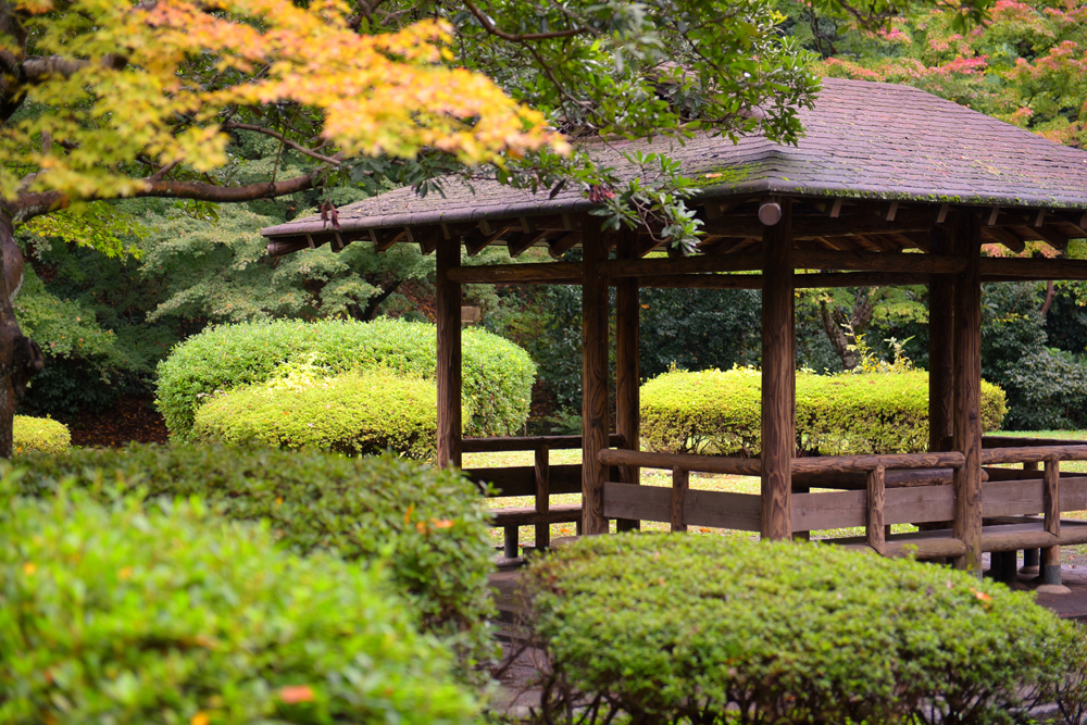 건강관리지도,광진구,성동,송파,강동,구의동,건강요법,의료기기,저주파자극기,건강유지