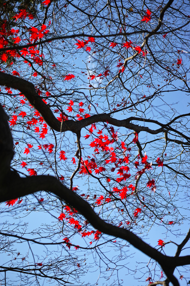 건강관리지도,광진구,성동,송파,강동,구의동,건강요법,의료기기,저주파자극기,건강유지