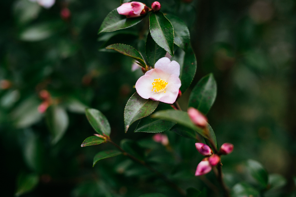 건강관리지도,광진구,성동,송파,강동,구의동,건강요법,의료기기,저주파자극기,건강유지