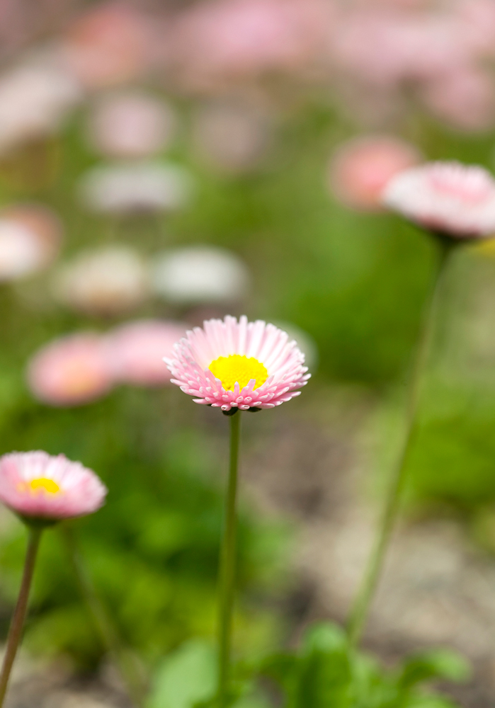 건강관리지도,광진구,성동,송파,강동,구의동,건강요법,의료기기,저주파자극기,건강유지