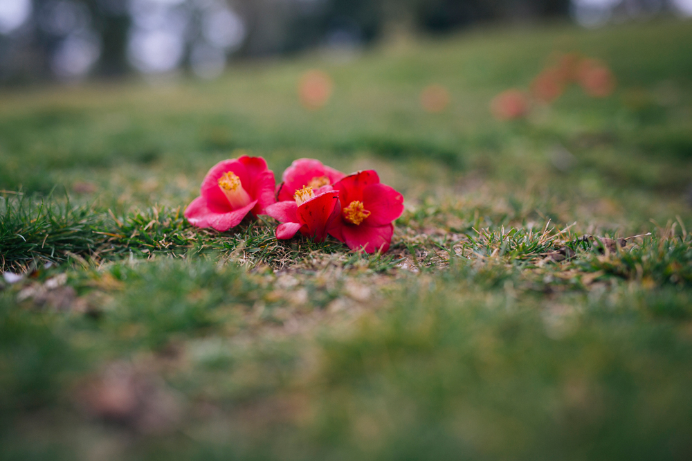 건강관리지도,광진구,성동,송파,강동,구의동,건강요법,의료기기,저주파자극기,건강유지