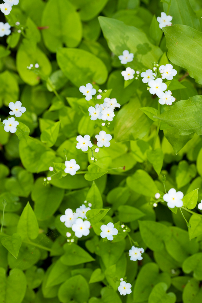 건강관리지도,광진구,성동,송파,강동,구의동,건강요법,의료기기,저주파자극기,건강유지