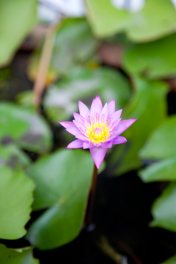 건강관리지도,광진구,성동,송파,강동,구의동,건강요법,의료기기,저주파자극기,건강유지