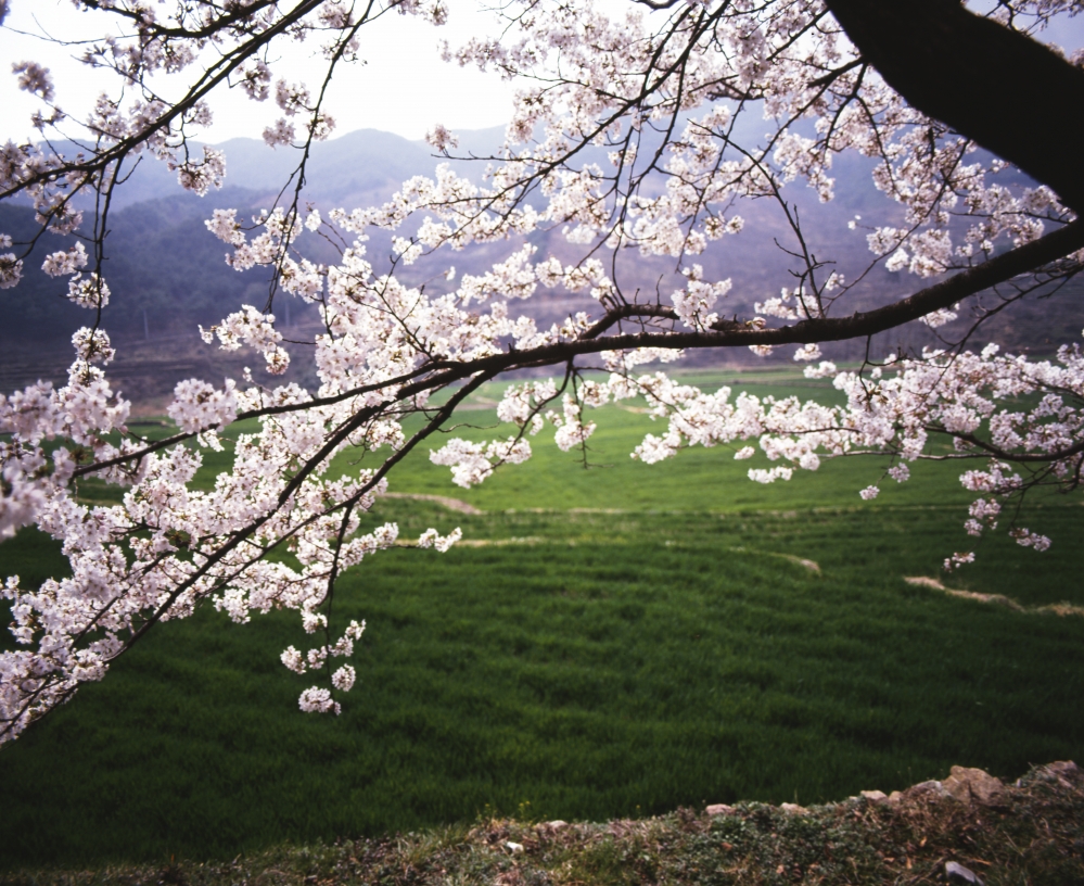 건강관리지도,광진구,성동,송파,강동,구의동,건강요법,의료기기,저주파자극기,건강유지