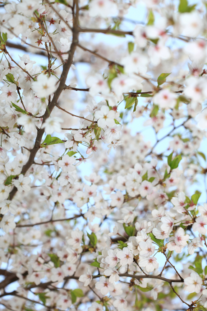 건강관리지도,광진구,성동,송파,강동,구의동,건강요법,의료기기,저주파자극기,건강유지