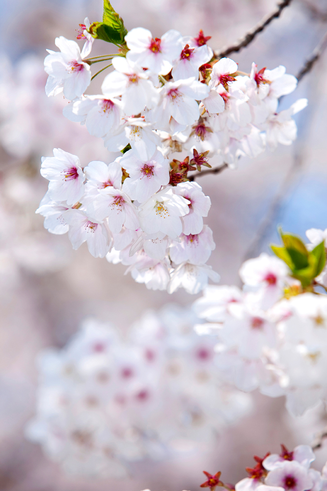 건강관리지도,광진구,성동,송파,강동,구의동,건강요법,의료기기,저주파자극기,건강유지