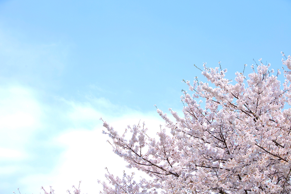 건강관리지도,광진구,성동,송파,강동,구의동,건강요법,의료기기,저주파자극기,건강유지