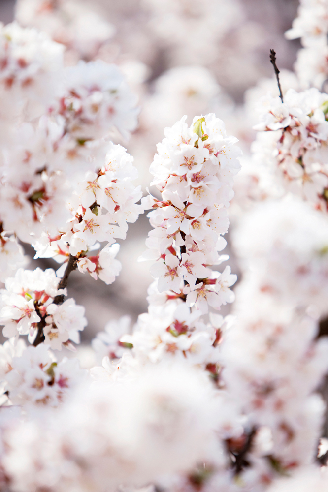 건강관리지도,광진구,성동,송파,강동,구의동,건강요법,의료기기,저주파자극기,건강유지