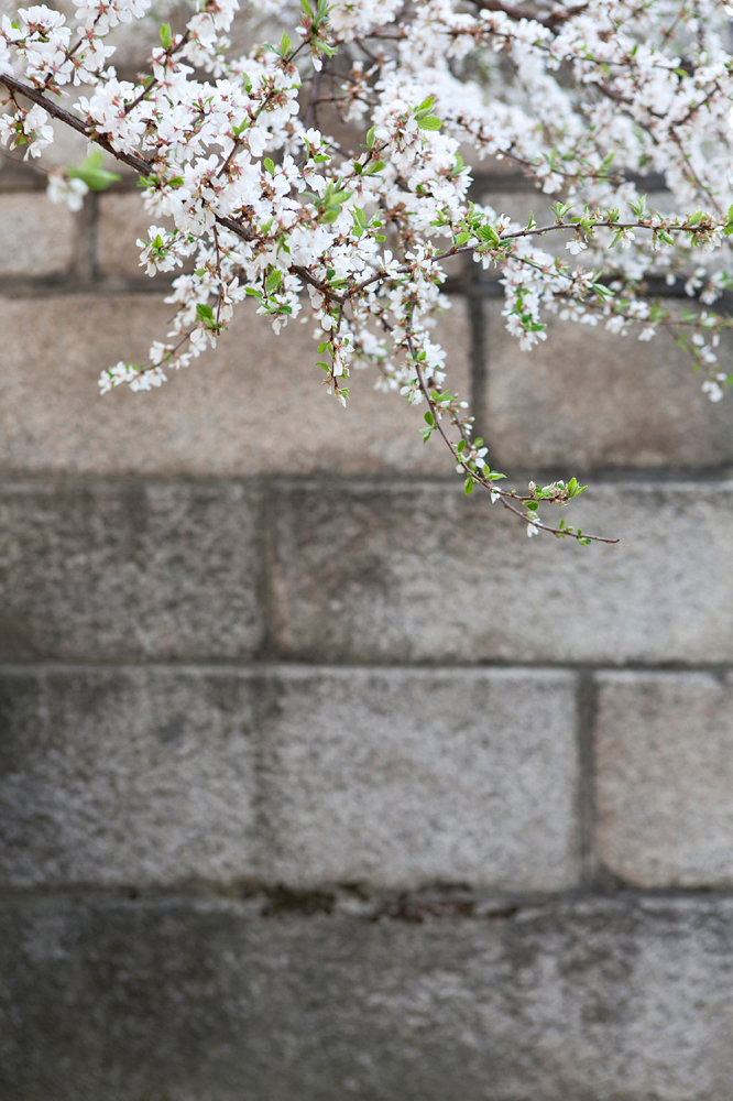 건강관리지도,광진구,성동,송파,강동,구의동,건강요법,의료기기,저주파자극기,건강유지