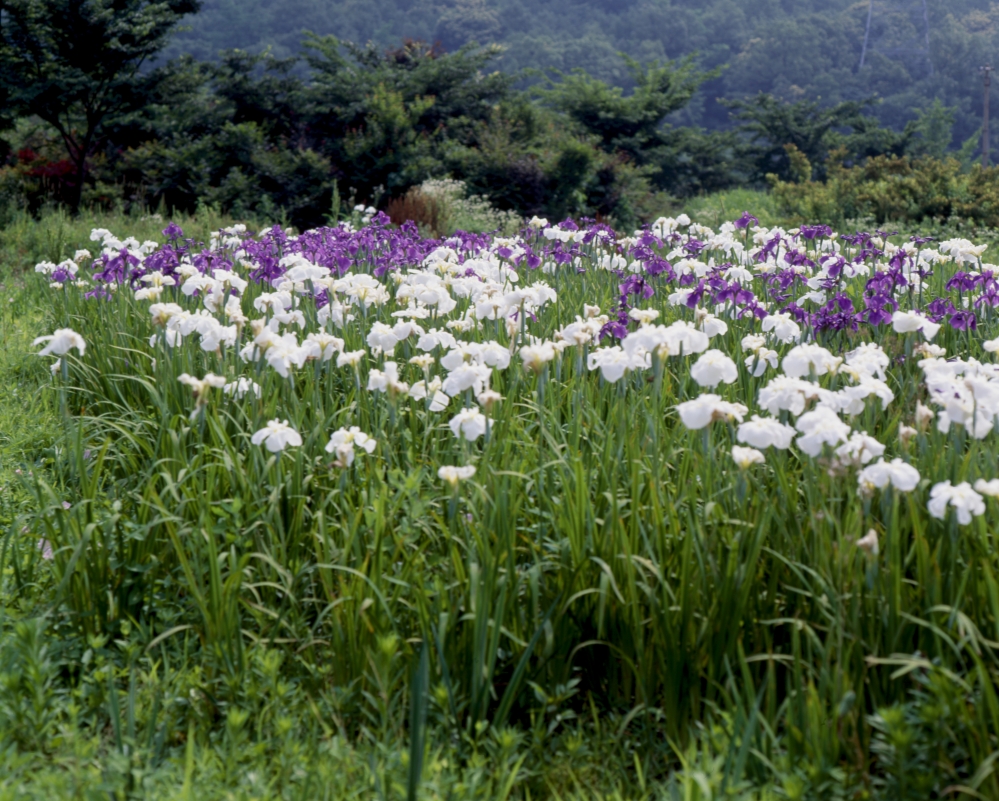 건강관리지도,광진구,성동,송파,강동,구의동,건강요법,의료기기,저주파자극기,건강유지