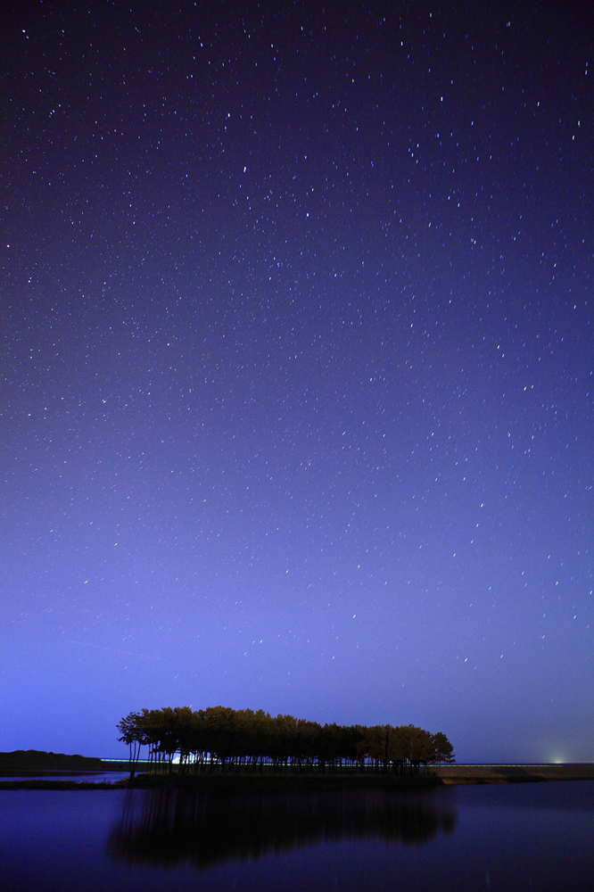 건강관리지도,광진구,성동,송파,강동,구의동,건강요법,의료기기,저주파자극기,건강유지