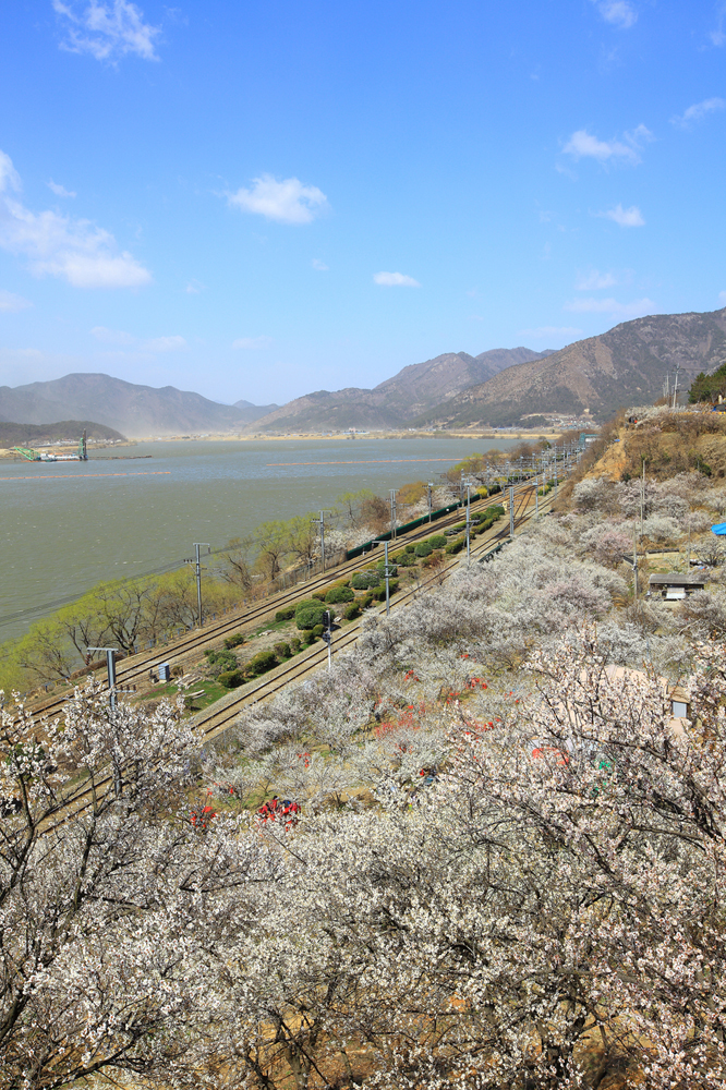 건강관리지도,광진구,성동,송파,강동,구의동,건강요법,의료기기,저주파자극기,건강유지