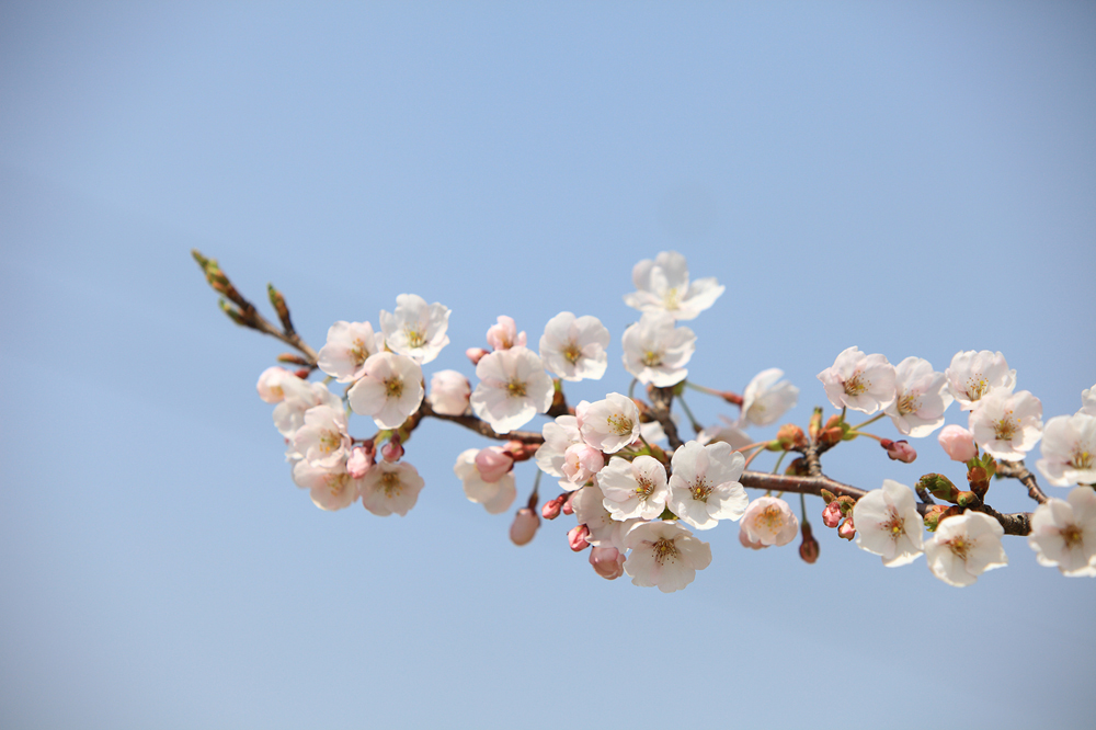 건강관리지도,광진구,성동,송파,강동,구의동,건강요법,의료기기,저주파자극기,건강유지
