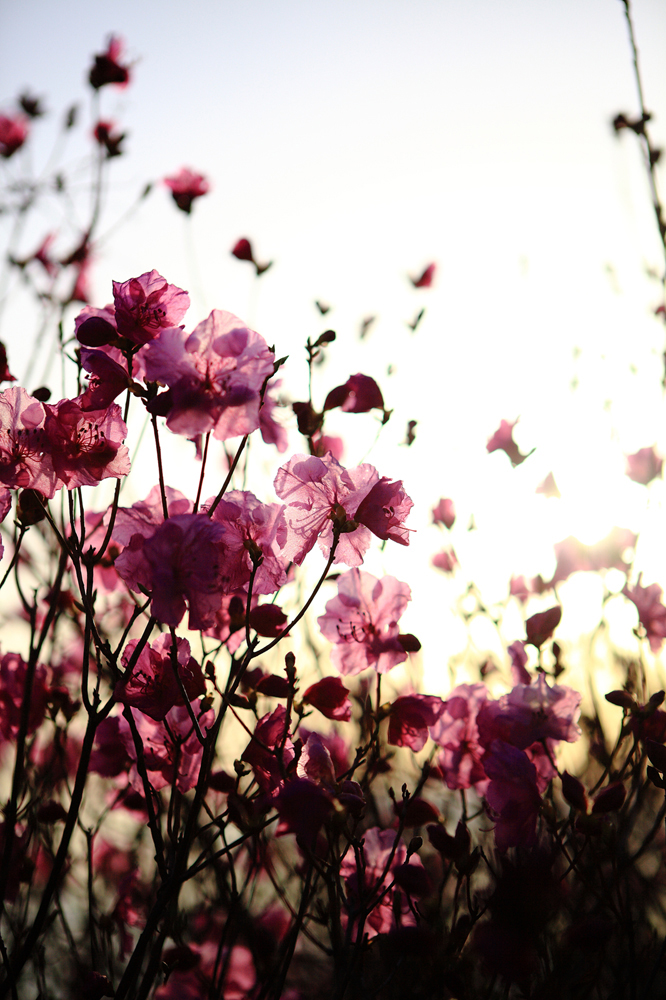 건강관리지도,광진구,성동,송파,강동,구의동,건강요법,의료기기,저주파자극기,건강유지